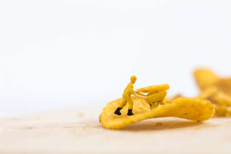 Miniature people, Workers work on  production potato chips on white background (food concept)の写真素材