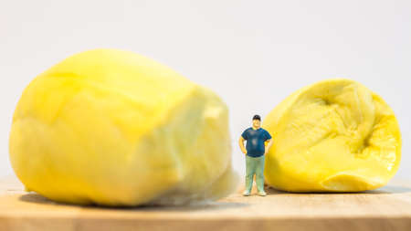Miniature people : Close up fat man standing with durian isolated on white backgroundの写真素材