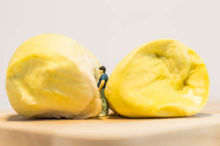 Miniature people : Close up fat man standing with durian isolated on white backgroundの写真素材