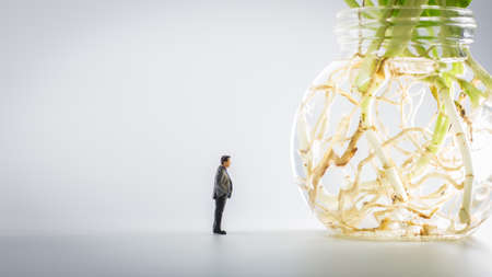 Miniature people : Close up business man standing and looking Epipremnum aureum in glass container.の写真素材