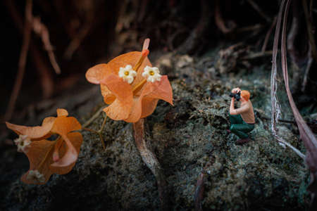 Miniature photographer taking photo of beautiful landscapeの写真素材