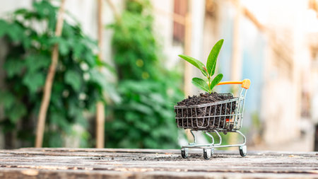 Trees grow on compost and mini shopping cart with natural light background (Business and finance concept)の写真素材