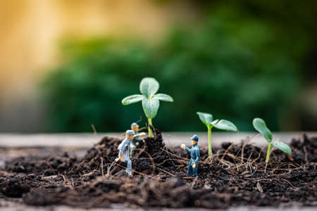 Miniature people : Nature exploration team is planting trees for a green world project. (We plant trees for a better world)の写真素材