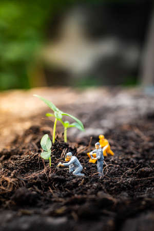 Miniature people : Nature exploration team is planting trees for a green world project. (We plant trees for a better world)の写真素材