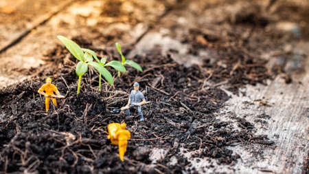 Miniature people : Nature exploration team is planting trees for a green world project. (We plant trees for a better world)の写真素材
