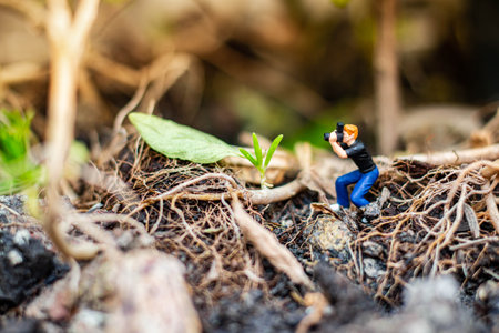 Miniature people : photographer taking a small tree in the tropical forest.の写真素材
