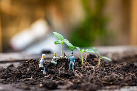 Miniature people : Nature exploration team is planting trees for a green world project. (We plant trees for a better world)の写真素材