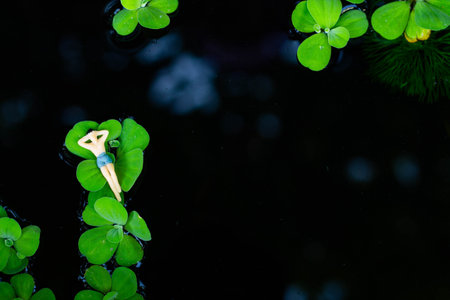 Miniature people, Man relaxing on big green leaf in the swimming poolの写真素材