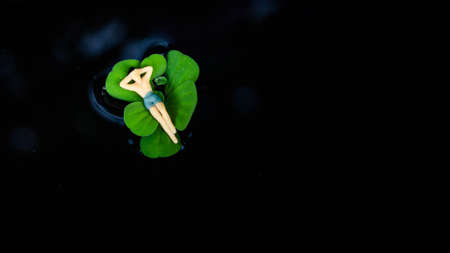 Miniature people, Man relaxing on big green leaf in the swimming poolの写真素材