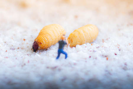 Miniature people : worker and insect larva on sand background.