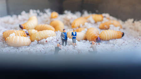 Miniature people: Businessman and businesswoman working together