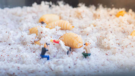 Miniature people: Workers are working on an object in the rice.
