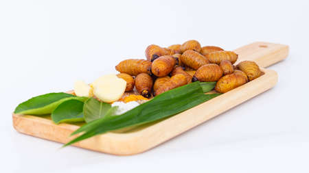 Silkworm larvae on white background. Close up of silkworm larvae on wooden plate.