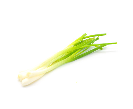 Onionの写真素材