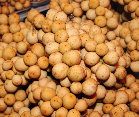 wollongongの写真素材