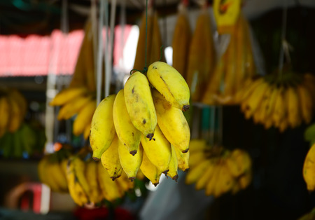 Bunch of ripe bananas in market thailandの写真素材