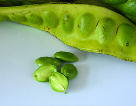 Bitter bean, Twisted cluster bean, Stink bean ( Parkia speciosa)の写真素材