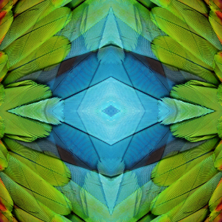 Seamless pattern made from colorful Scarlet Macaw feathers. texture backgroundの写真素材