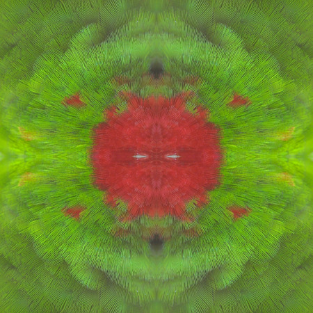 Seamless pattern made from colorful Sun Conure feathers. texture background