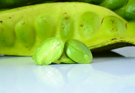 Tropical stinking edible beans on white background (Parkia Speciosa)