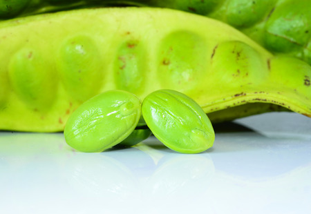 Tropical stinking edible beans on white background (Parkia Speciosa)の写真素材