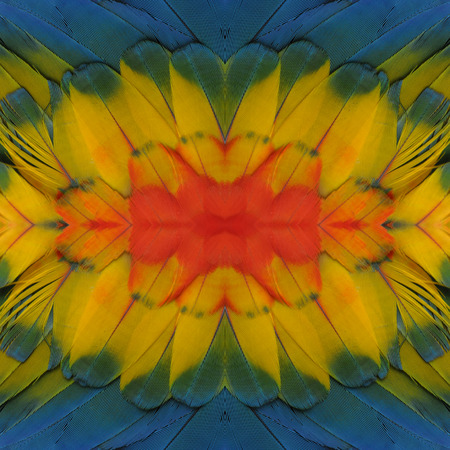 Seamless pattern made from Bird Scarlet Macaw feathers. background textureの写真素材