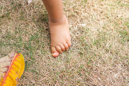 baby foot on the grass with copy space, kid play on the grass