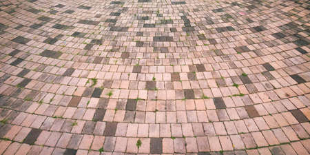 cement brick floor with circle curve form arrangement, weathering cement brick floor with grass between jointsの写真素材