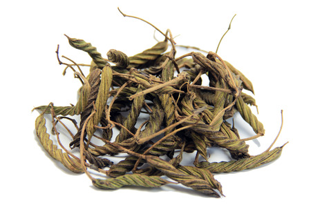  East Indian screw tree  Helicteres isora  L    の写真素材