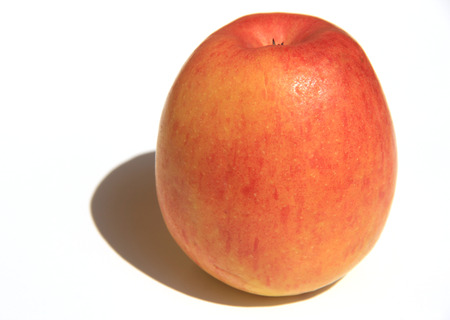 Red applesの写真素材