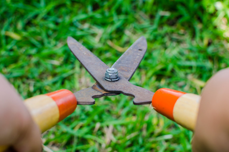 Grass old scissors isolated on Grass backgroundの写真素材