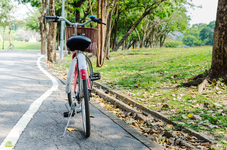 Bicycle in the park