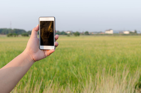Hand holding mobile phone,selfieの写真素材