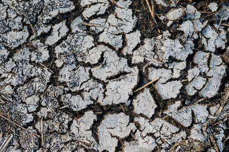 concept love earth ,drought ,background and textureの写真素材