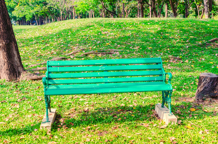 green  bench in the parkの写真素材