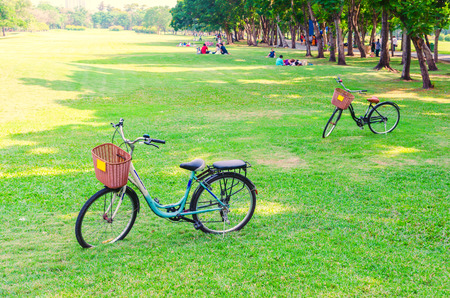 Bicycle on green grass in the parkの写真素材