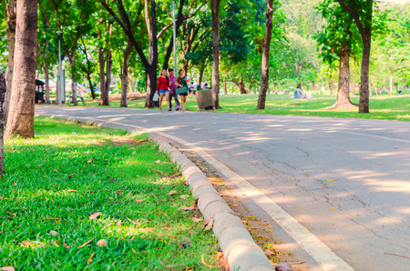 way walk excercise in the park