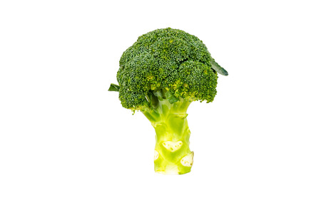 Broccoli  isolated on white backgroundの写真素材