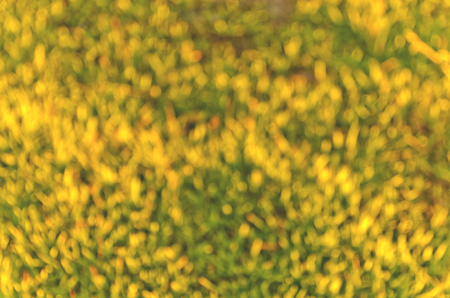 Abstract background bokeh circles for  background, Warm yellow golden color tone blurred nature backgroundの写真素材