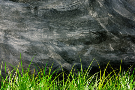 Green grass on abstract cement  background, Copy space for display or montage your productsの写真素材