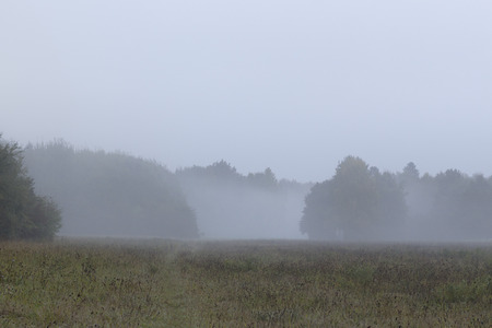 Stromtrasse im Nebelの写真素材
