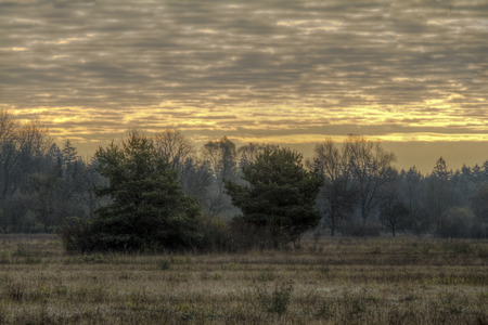 Morgenstimmung über einer Heidelandschaft in Königsbrunn bei Augsburgの写真素材