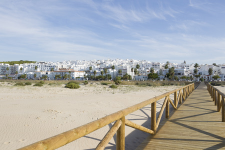 Wooden boardwalk leads between palm trees to the white city of Conil de la Frontera in Andalusia with blue skyの写真素材