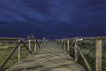 Wooden planks walkway leads between palm trees on a beach near the sea with blue skyの写真素材