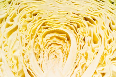 texture of a sliced head of cabbage - detailの写真素材