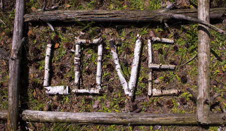 The word love from old birch branches in a frame of old treesの写真素材