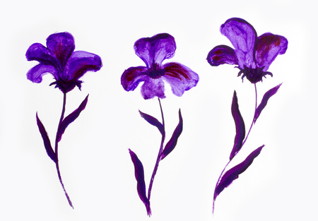 Set of violet and purple flowers in watercolor, acrylic. Flowers for your design wedding invitations, save date cards, fabric, wallpaper, scrapbook and etc. on white backgroundの写真素材