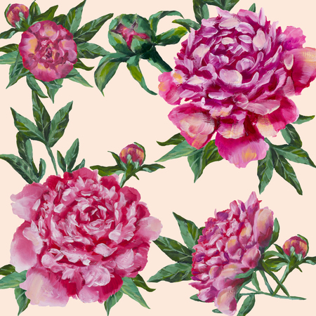 Pink peonies hand painted. Peony with buds and leaves, watercolor, can be used as greeting card, Invitation card for wedding birthday and other holiday. Isolated on a white background.の写真素材
