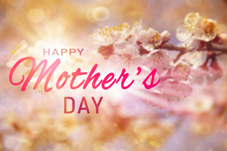 Happy Mother's day greeting card. Beautiful Branches of blossoming apricot macro with soft focus on gentle light blue sky backgroundの写真素材