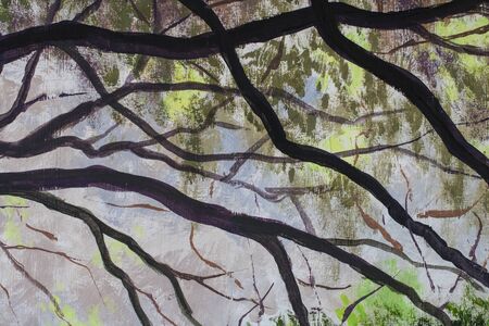 Branches of the Big Old Trees - acrylic, oil painting on canvas. Dark branches green foliageの写真素材